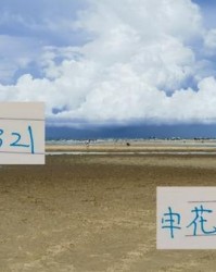 乐鱼APP-路易斯不在！申花能打4321阵型 把宝都押在阿苏埃身上吗！